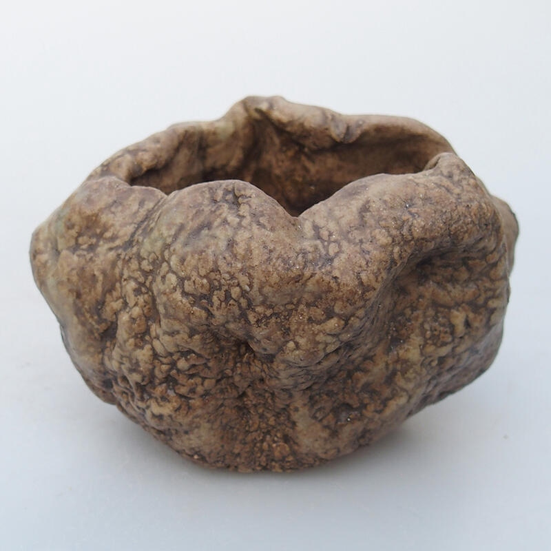 Conchiglia in ceramica 8,5 x 6,5 x 6 cm , colore beige