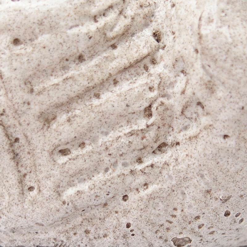 Conchiglia in ceramica 8,5 x 7 x 5 cm, colore grigio