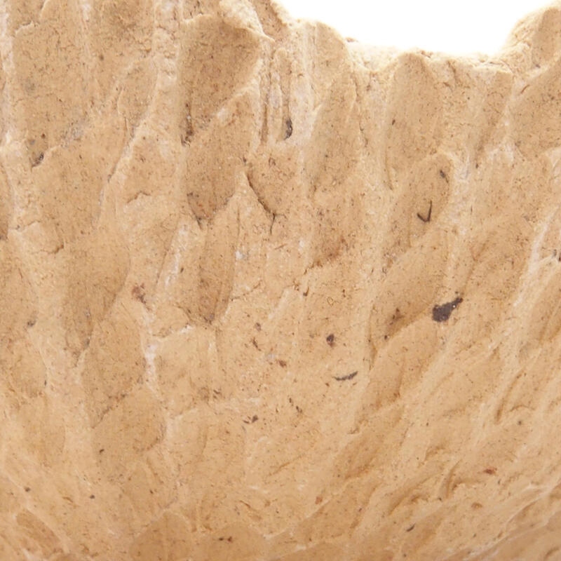 Conchiglia in ceramica 8,5 x 8,5 x 4,5 cm , colore beige