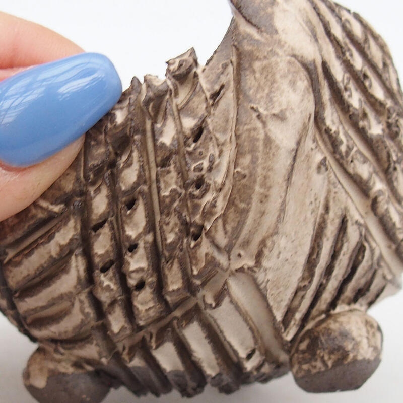 Conchiglia in ceramica 8,5 x 8,5 x 6 cm , colore beige