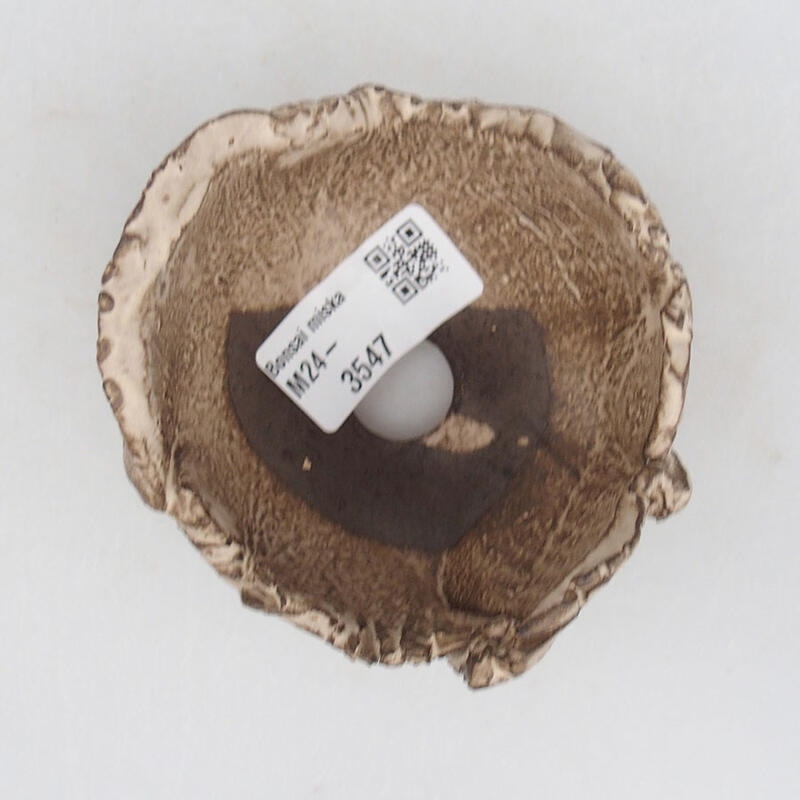 Conchiglia in ceramica 8,5 x 8,5 x 6 cm , colore beige