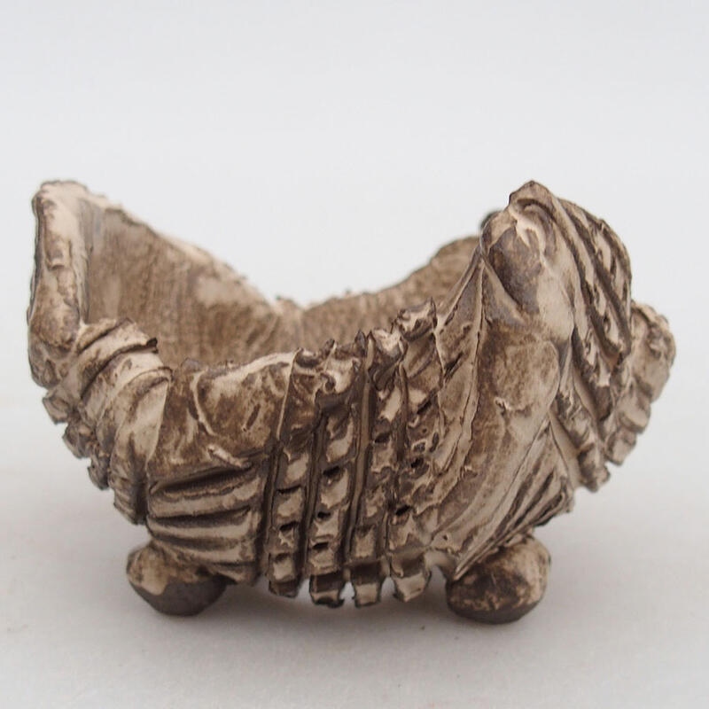 Conchiglia in ceramica 8,5 x 8,5 x 6 cm , colore beige