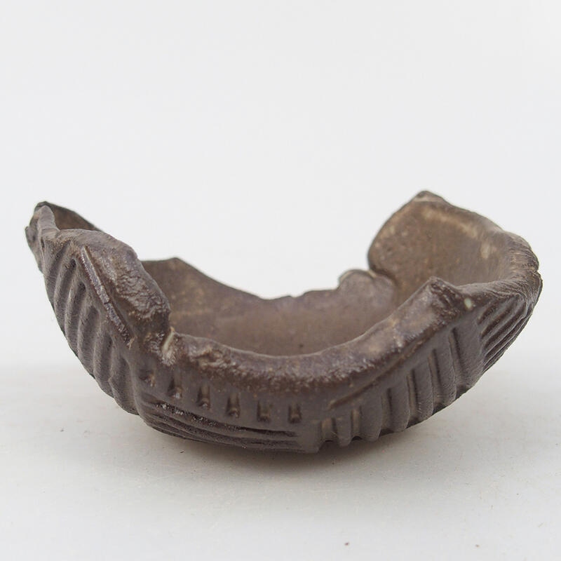 Conchiglia in ceramica 8,5 x 8 x 4 cm , colore marrone