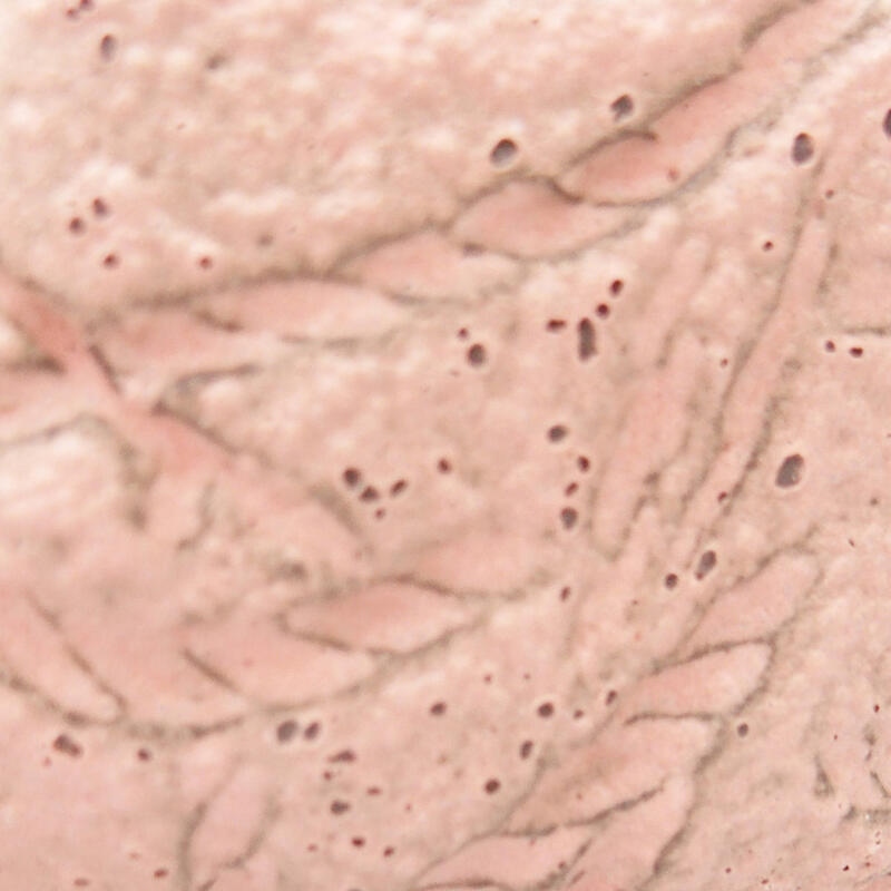 Conchiglia in ceramica 8,5 x 8 x 4 cm , colore rosa