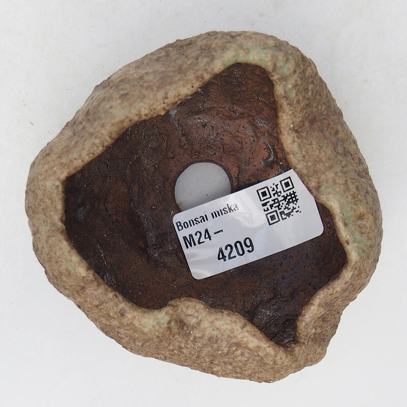 Conchiglia in ceramica 8,5 x 8 x 5 cm , colore beige