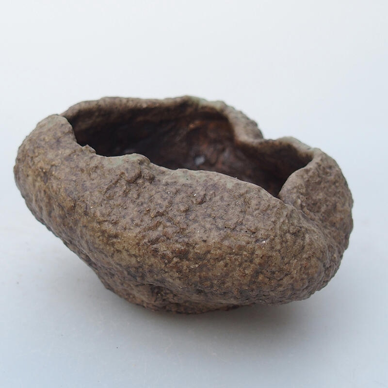 Conchiglia in ceramica 8,5 x 8 x 5 cm , colore beige