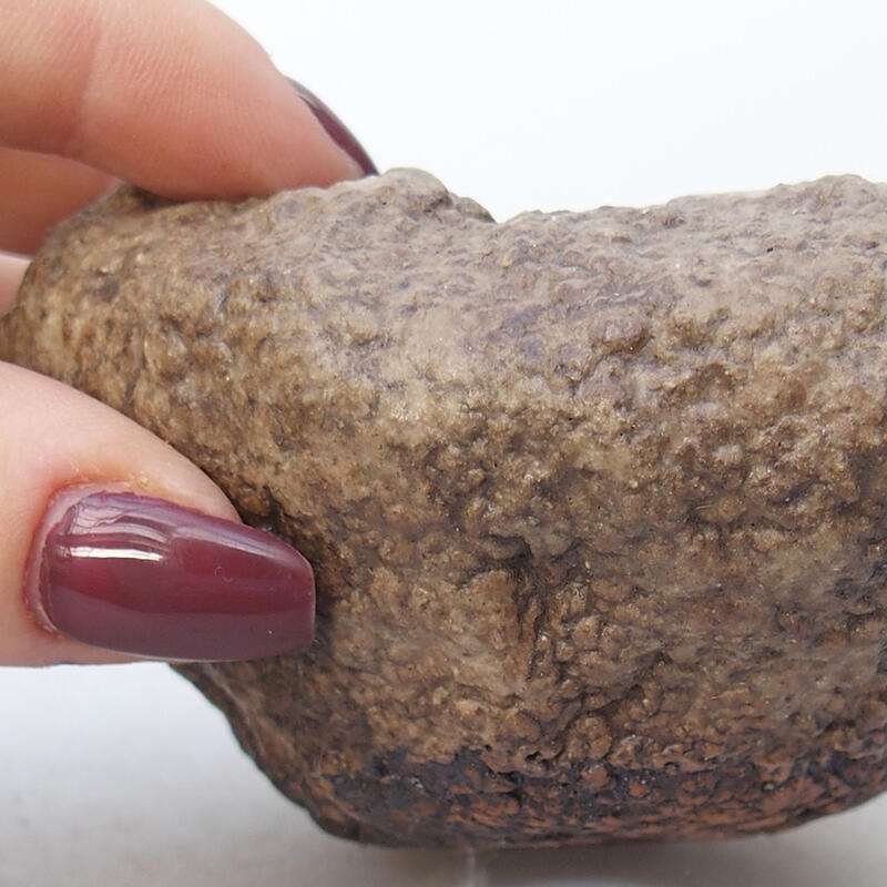 Conchiglia in ceramica 8,5 x 8 x 5 cm , colore beige