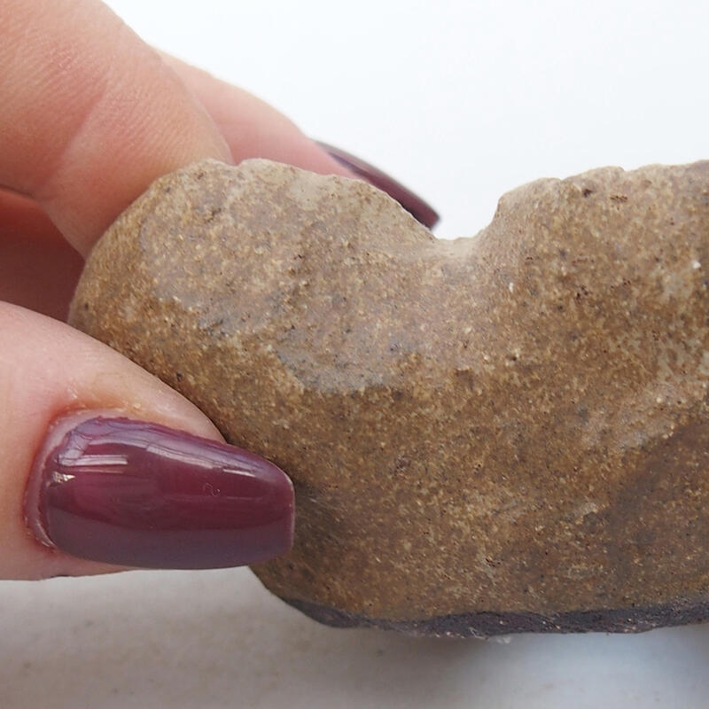 Conchiglia in ceramica 8 x 6 x 4,5 cm , colore beige