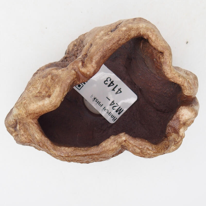 Conchiglia in ceramica 8 x 6 x 5 cm , colore marrone