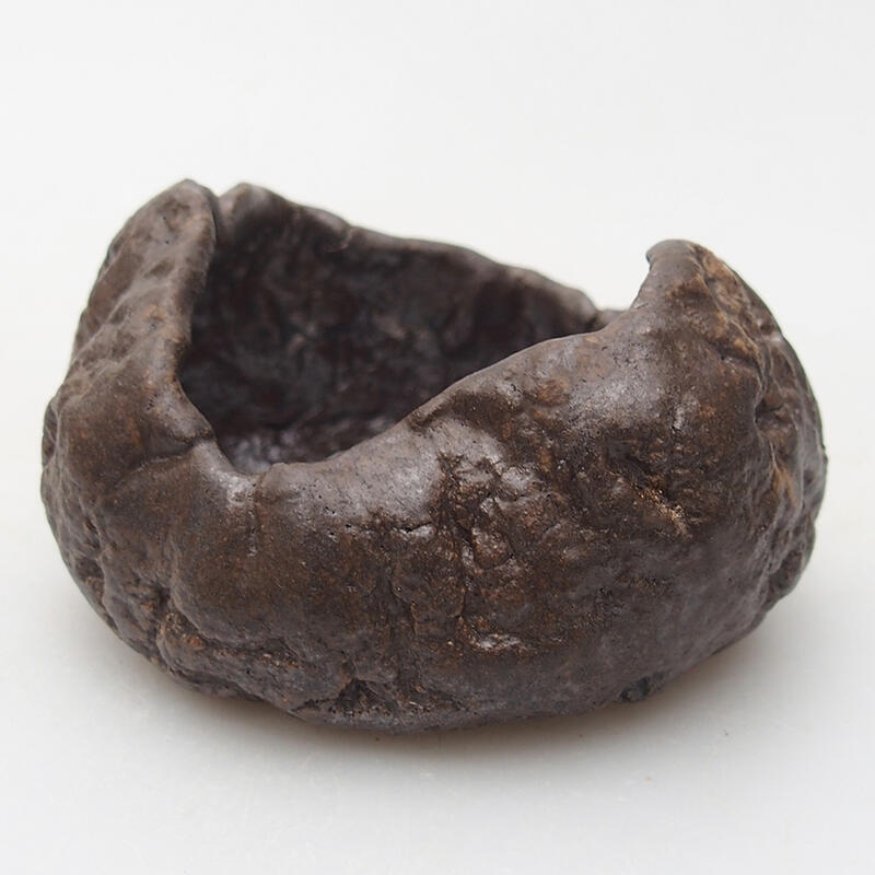 Conchiglia in ceramica 8 x 7,5 x 4,5 cm , colore marrone