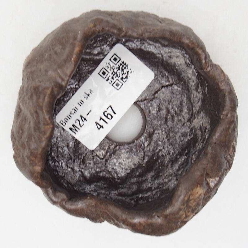 Conchiglia in ceramica 8 x 7,5 x 4,5 cm , colore marrone