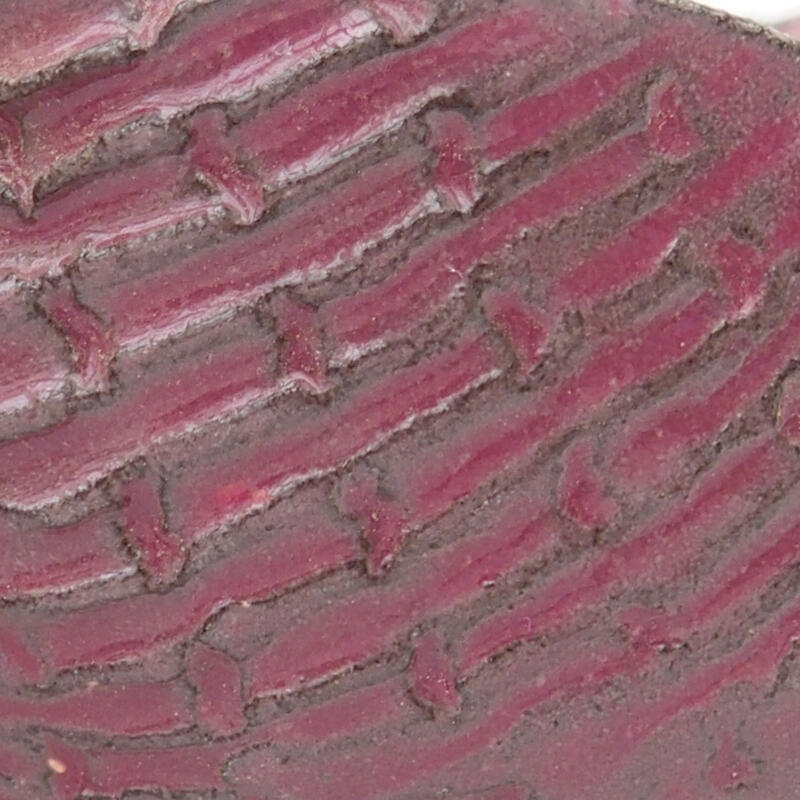 Conchiglia in ceramica 8 x 7,5 x 4,5 cm , colore rosa