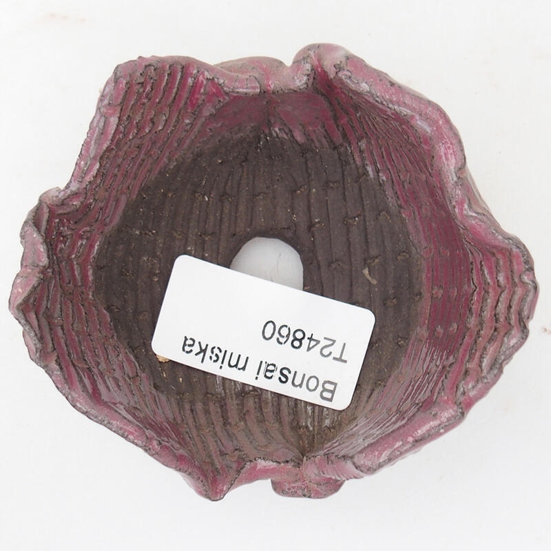 Conchiglia in ceramica 8 x 7,5 x 4,5 cm , colore rosa