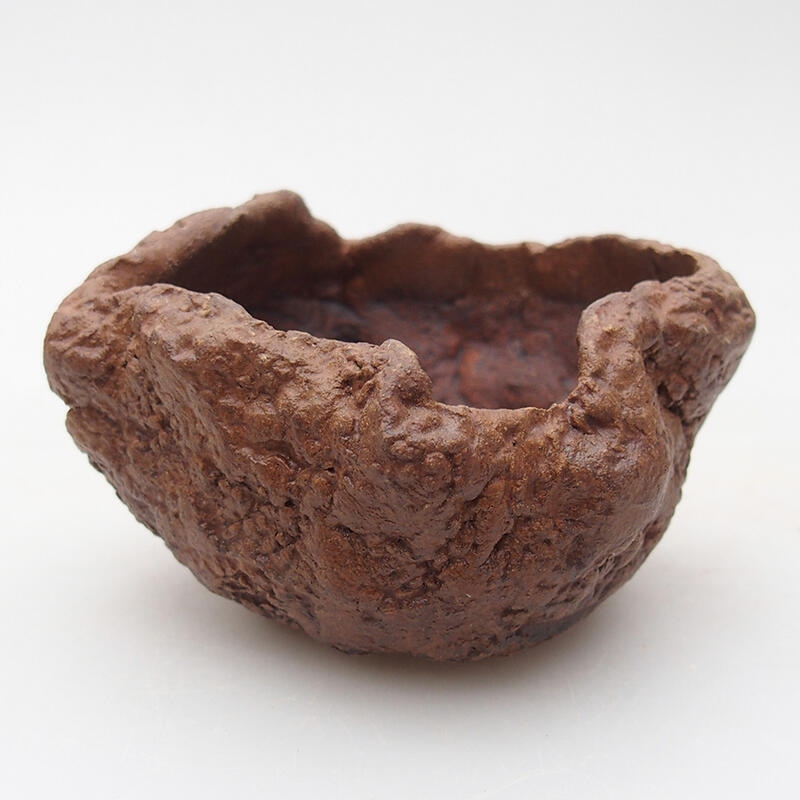 Conchiglia in ceramica 8 x 7,5 x 5,5 cm , colore marrone