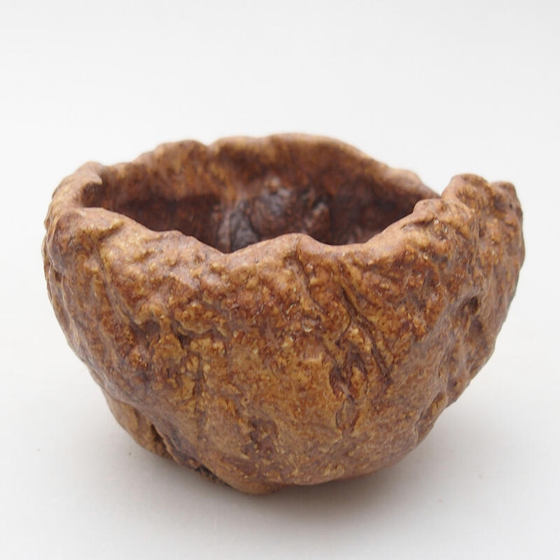 Conchiglia in ceramica 8 x 7,5 x 5,5 cm , colore marrone