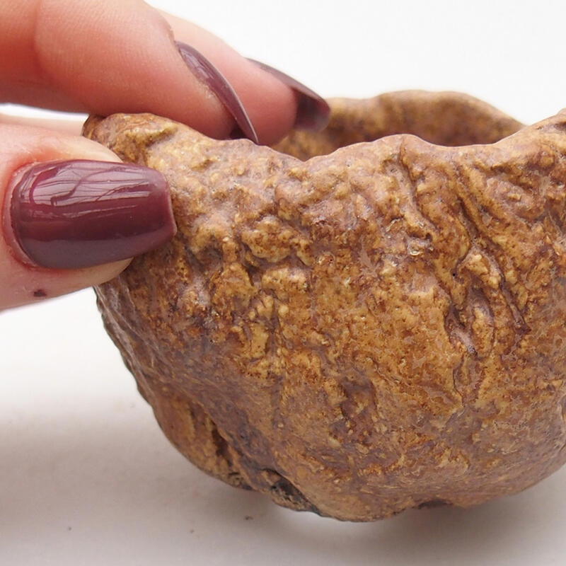 Conchiglia in ceramica 8 x 7,5 x 5,5 cm , colore marrone