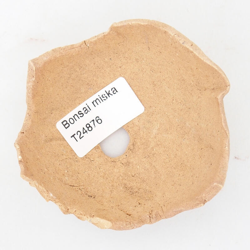 Conchiglia in ceramica 8 x 8,5 x 4,5 cm , colore beige