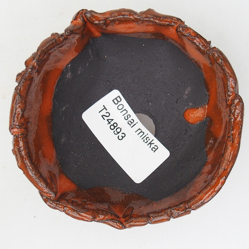 Conchiglia in ceramica 8 x 8 x 3,5 cm , colore arancione