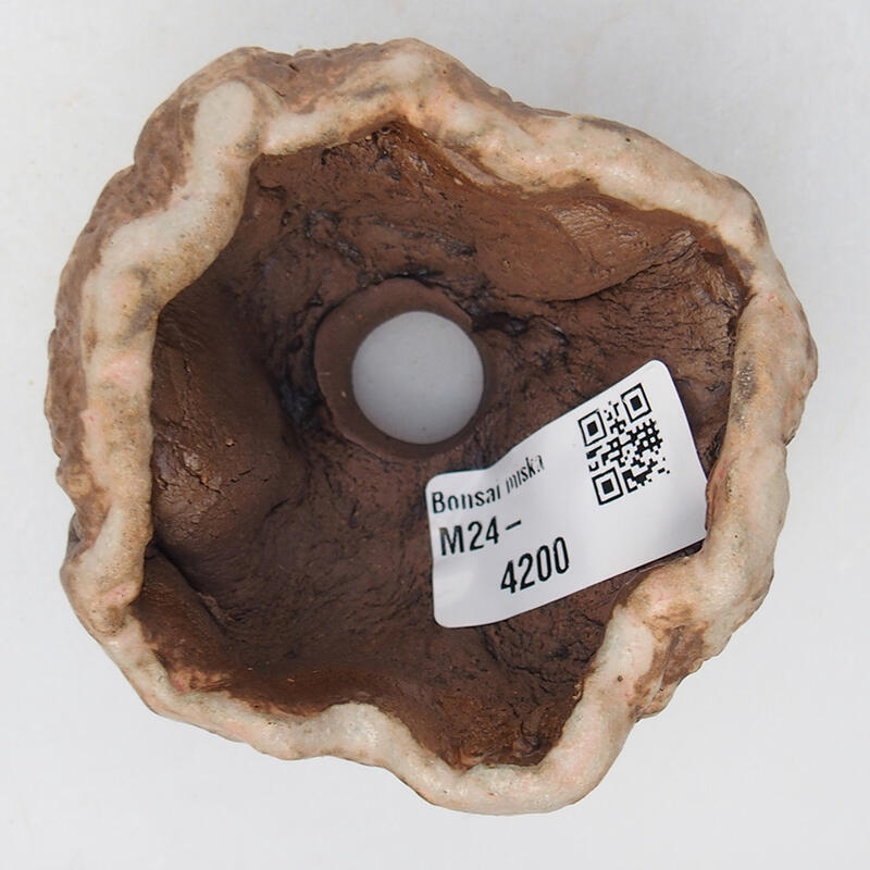 Conchiglia in ceramica 8 x 8 x 5 cm , colore beige