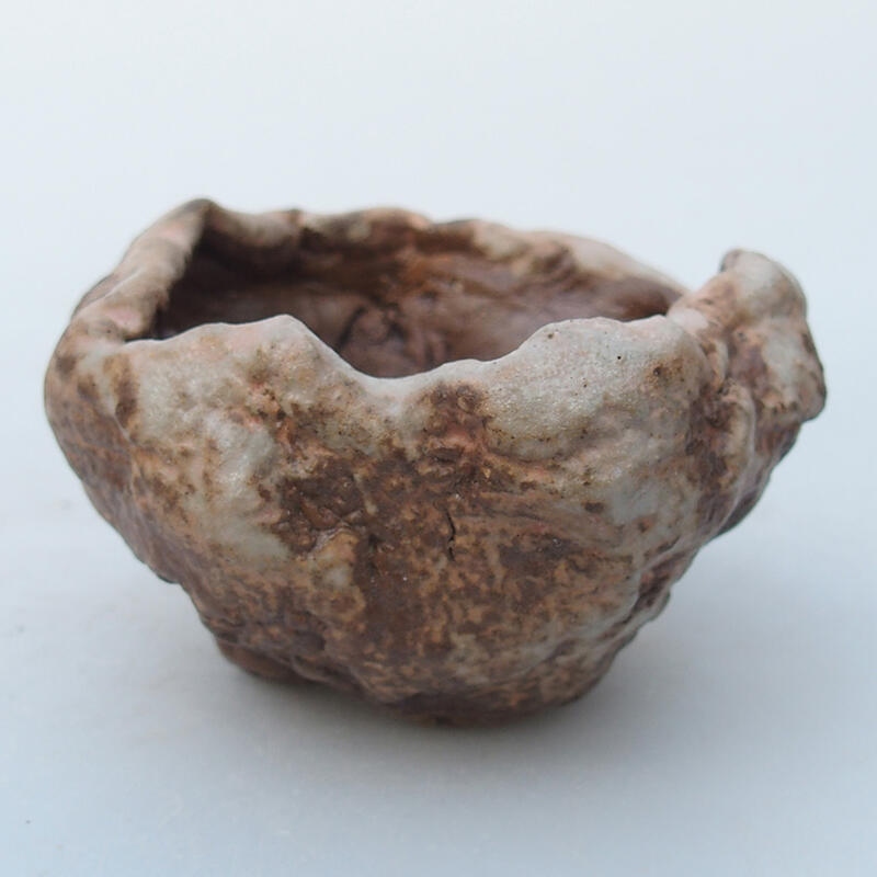 Conchiglia in ceramica 8 x 8 x 5 cm , colore beige