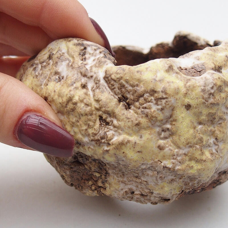 Conchiglia in ceramica 8 x 8 x 6 cm , giallo