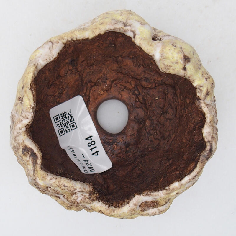 Conchiglia in ceramica 8 x 8 x 6 cm , giallo