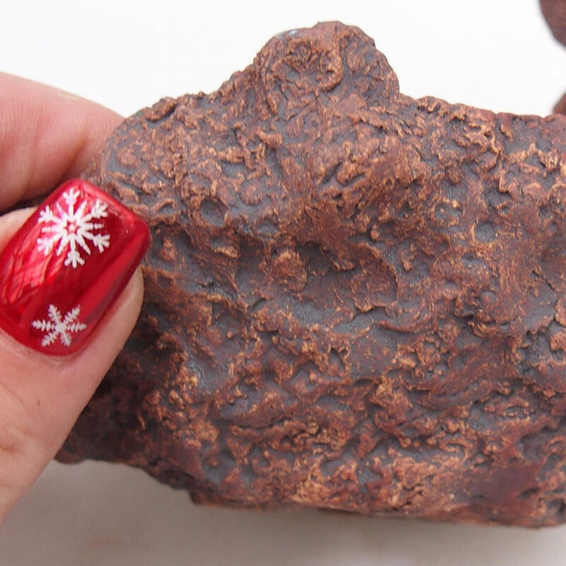 Conchiglia in ceramica 9,5 x 11 x 11 cm , colore rosso bruno