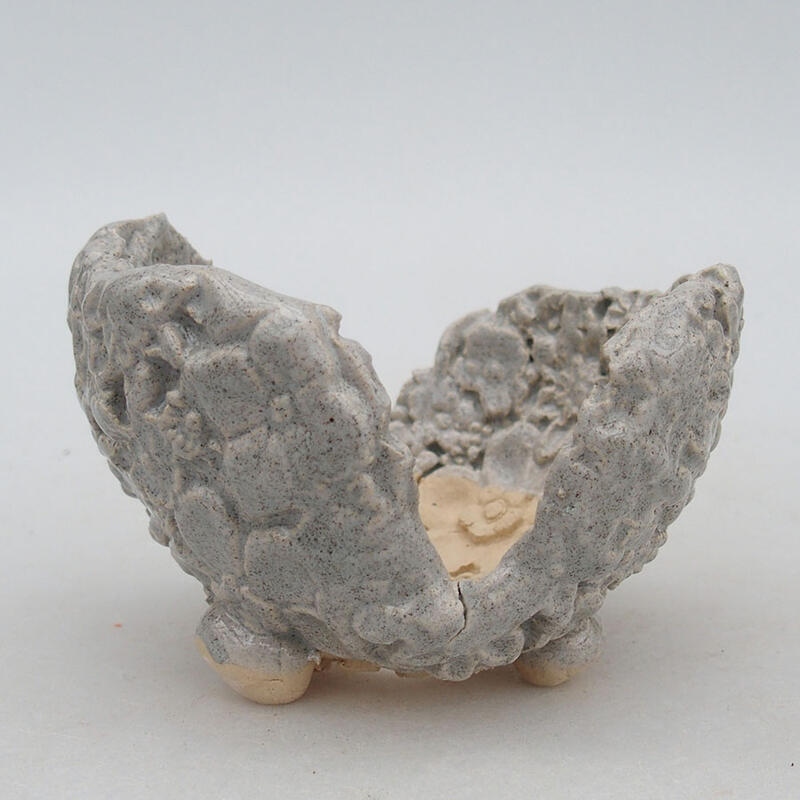 Conchiglia in ceramica 9,5 x 8 x 7 cm, colore grigio