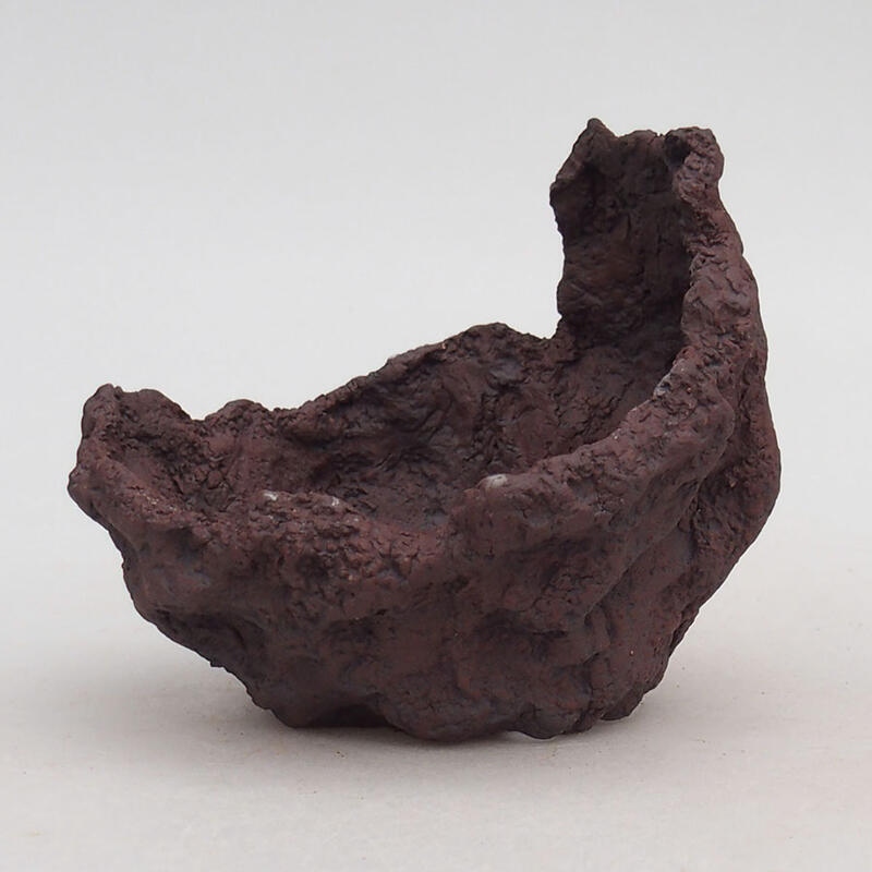 Conchiglia in ceramica 9 x 11 x 9 cm , colore rosso bruno