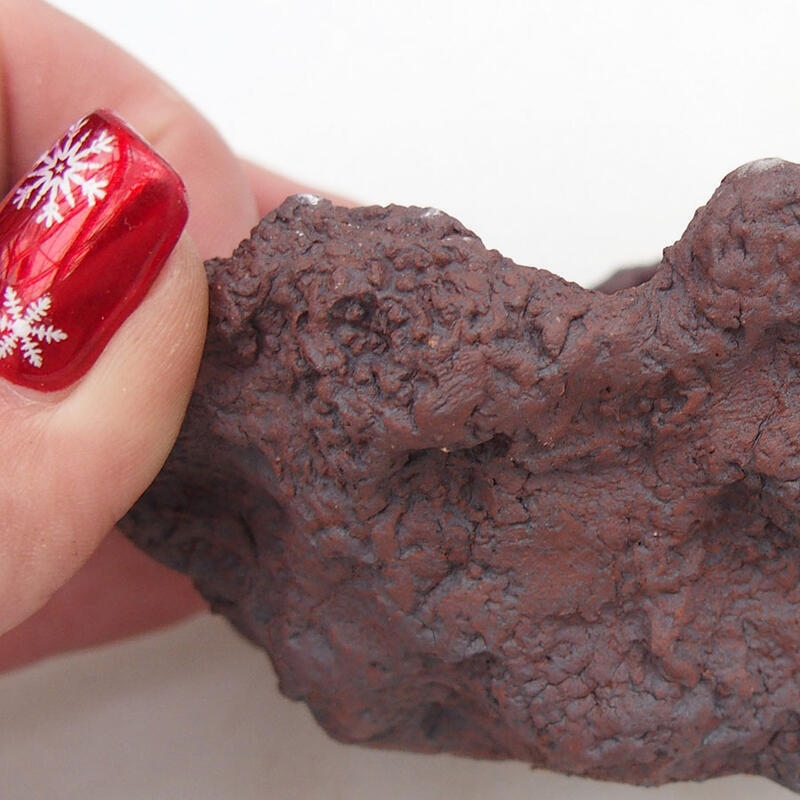 Conchiglia in ceramica 9 x 11 x 9 cm , colore rosso bruno