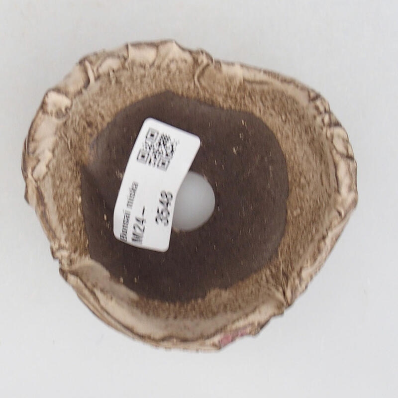 Conchiglia in ceramica 9 x 8,5 x 5,5 cm , colore beige