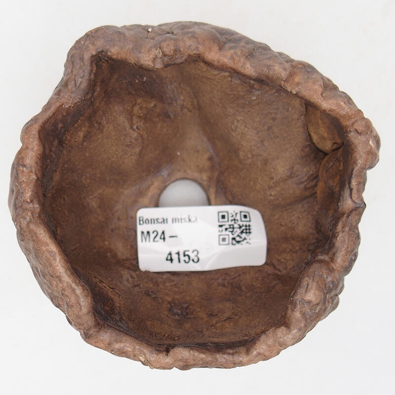 Conchiglia in ceramica 9 x 8,5 x 6 cm , colore marrone