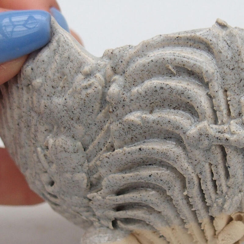 Conchiglia in ceramica 9 x 8,5 x 6 cm, colore grigio