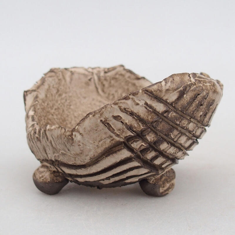 Conchiglia in ceramica 9 x 8 x 5,5 cm , colore beige