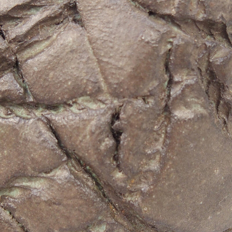 Conchiglia in ceramica 9 x 8 x 5,5 cm , colore marrone