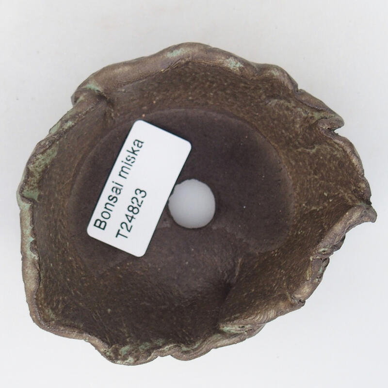 Conchiglia in ceramica 9 x 8 x 5,5 cm , colore marrone