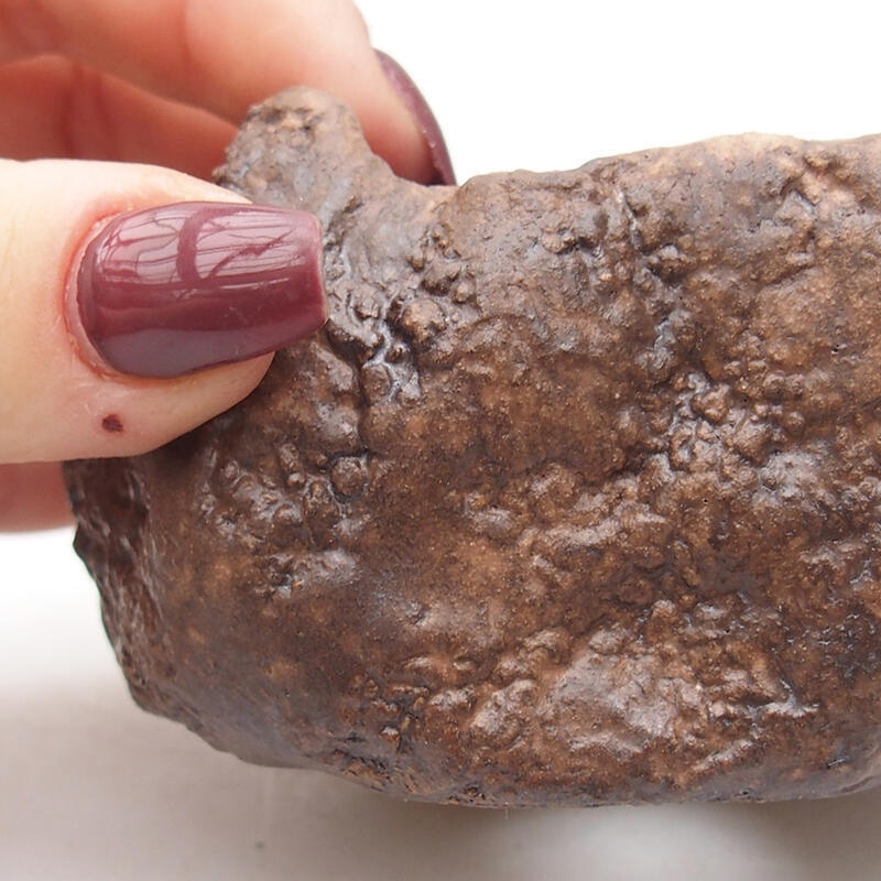 Conchiglia in ceramica 9 x 8 x 5 cm , colore marrone