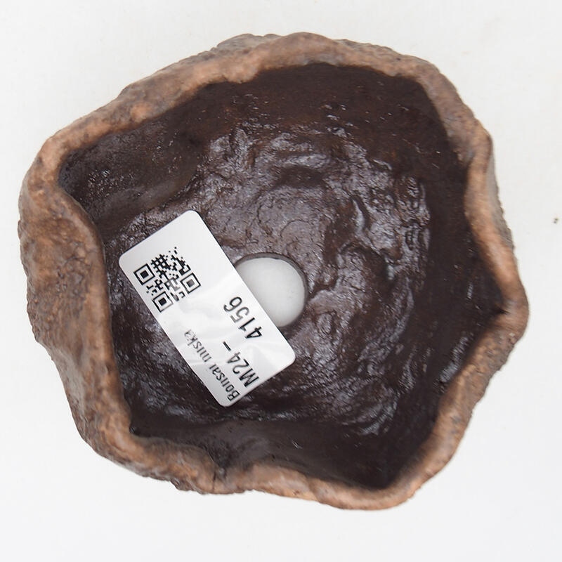 Conchiglia in ceramica 9 x 8 x 5 cm , colore marrone