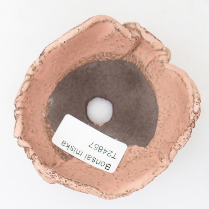 Conchiglia in ceramica 9 x 8 x 5 cm , colore rosa