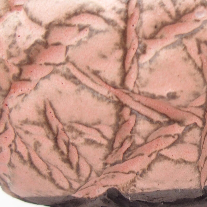 Conchiglia in ceramica 9 x 8 x 5 cm , colore rosa