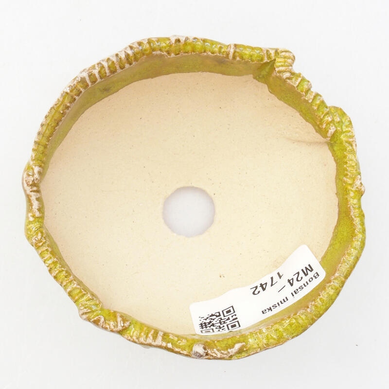 Conchiglia in ceramica 9 x 8 x 5 cm , colore verde