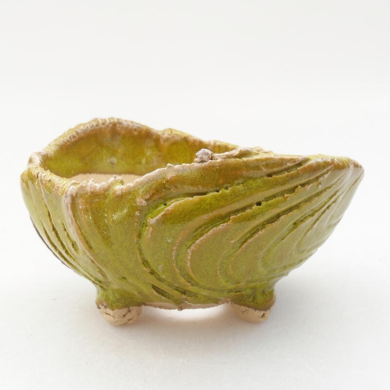 Conchiglia in ceramica 9 x 8 x 5 cm , colore verde