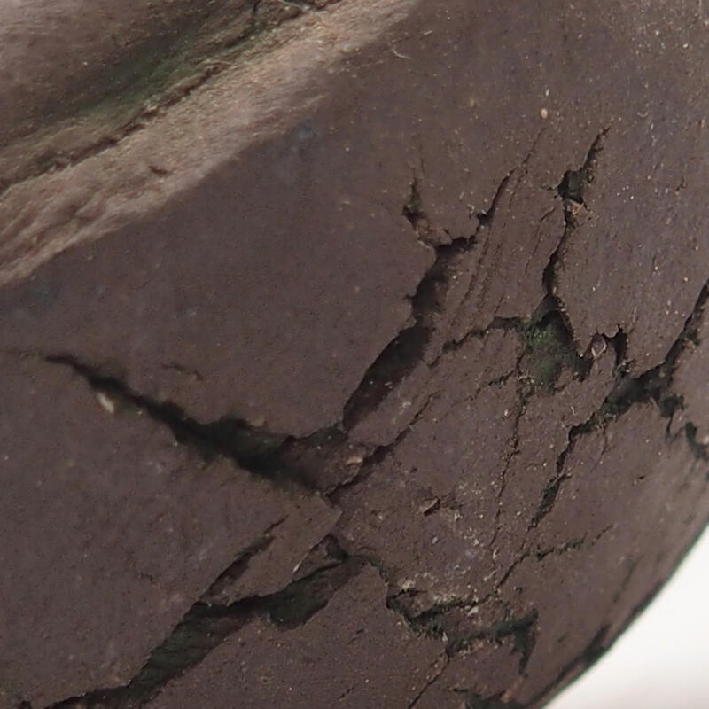 Conchiglia in ceramica 9 x 9 x 4,5 cm , colore verde