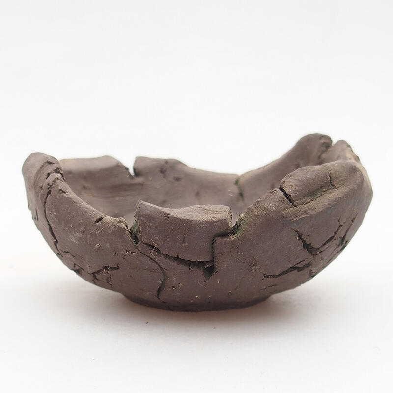 Conchiglia in ceramica 9 x 9 x 4,5 cm , colore verde