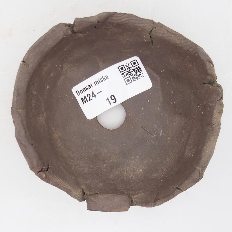 Conchiglia in ceramica 9 x 9 x 4,5 cm , colore verde