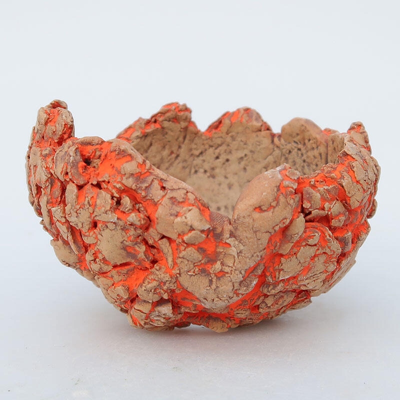 Guscio in ceramica  9 x 9 x 5,5 cm, colore grezzo