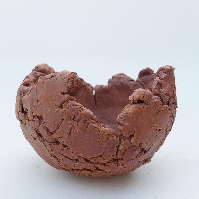 Conchiglia in ceramica 9 x 9 x 6,5 cm , colore marrone