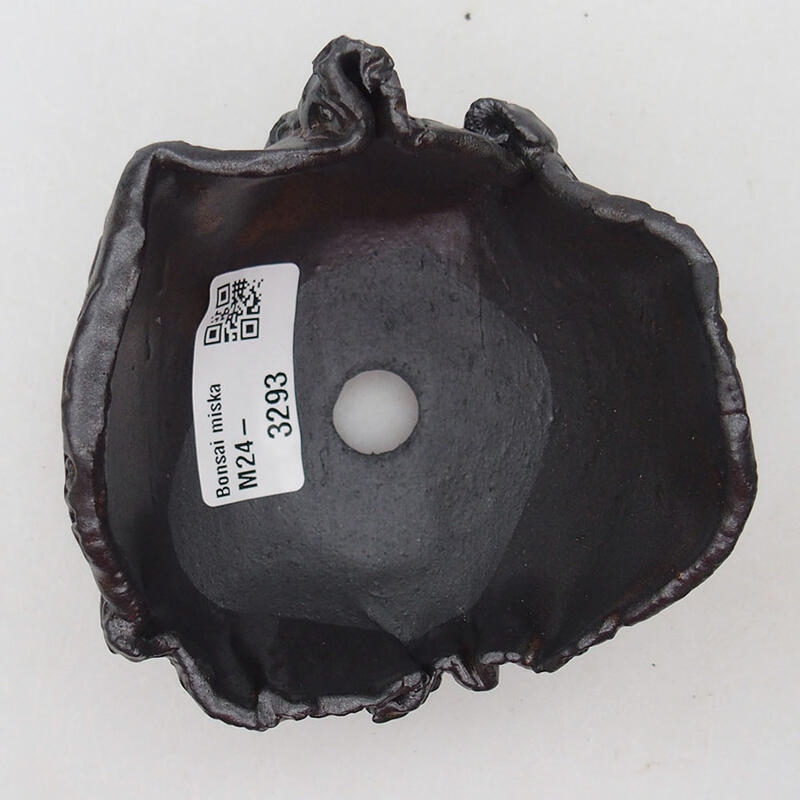 Conchiglia in ceramica 9 x 9 x 6,5 cm , colore marrone