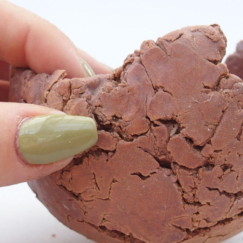 Conchiglia in ceramica 9 x 9 x 6,5 cm , colore marrone