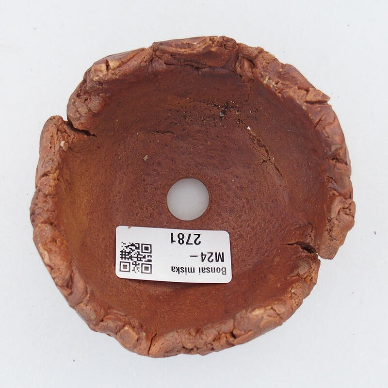 Conchiglia in ceramica 9 x 9 x 6,5 cm , colore marrone